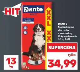 Kaufland DANTE Sucha karma dla psów z wołowiną 13 kg opakowanie oferta
