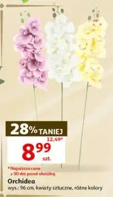 Auchan Orchidea oferta