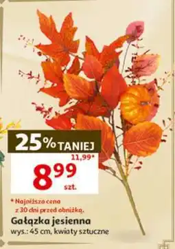 Auchan Gałązka jesienna oferta