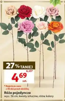 Auchan Róża pojedyncza oferta