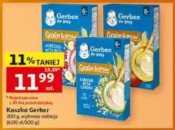 Auchan Kaszka Gerber oferta