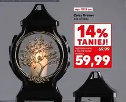 Kaufland Znicz Drzewo oferta