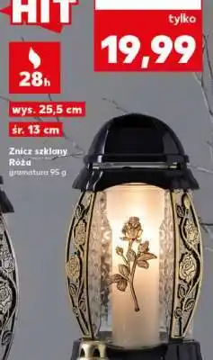 Kaufland Znicz szklany Róża oferta