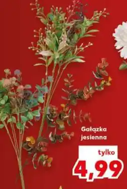 Kaufland Gałązka jesienna oferta