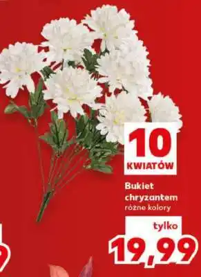 Kaufland Bukiet chryzantem oferta