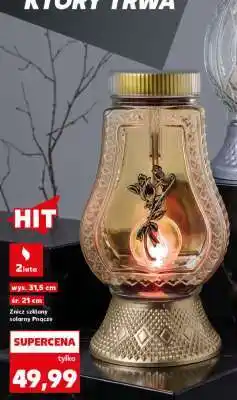 Kaufland Znicz szklany solarny Pnącze oferta