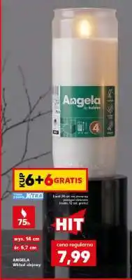 Kaufland ANGELA Wkład olejowy oferta