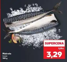 Kaufland Makrela oferta