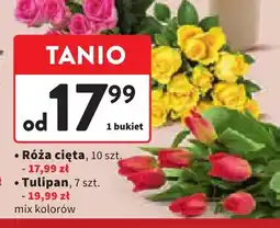 Intermarche Róża cięta oferta