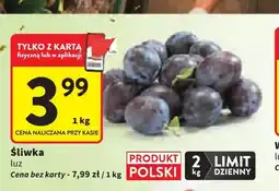 Intermarche Śliwki polskie oferta