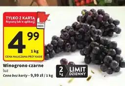 Intermarche Winogrona czarne oferta