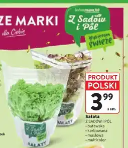 Intermarche Sałata batawska Z Sadów i Pól oferta