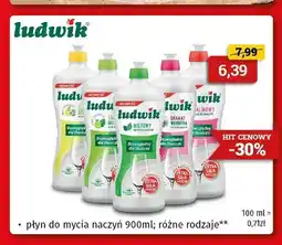 Drogeria Kosmyk Płyn do mycia naczyń Ludwik oferta