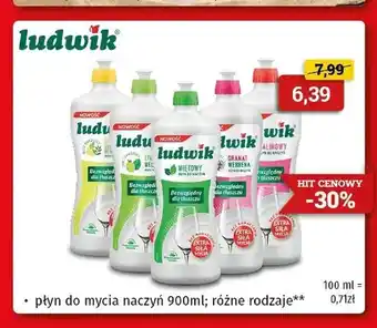 Płyn do mycia naczyń Ludwik