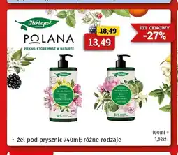 Drogeria Kosmyk Żel pod prysznic Polana oferta