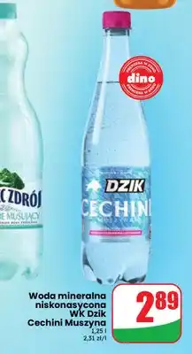 Dino Woda mineralna gazowana niskonasycona WK Dzik Cechini Muszyna oferta