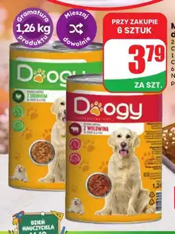 Dino Mokra karma dla psa Doogy z wołowiną oferta