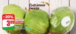 Dino Sałata lodowa oferta