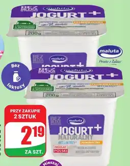 Dino Jogurt naturalny bez laktozy Maluta oferta