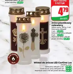 Dino Znicz plastikowy zalewany oferta