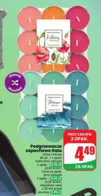 Dino Podgrzewacze zapachowe Gala oferta
