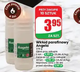 Dino Wkład parafinowy Angela oferta