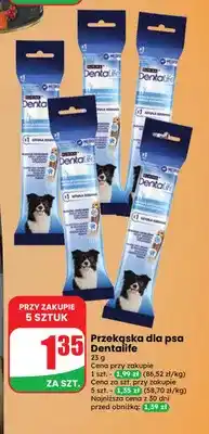 Dino Przekąska dla psa Dentalife oferta