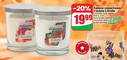 Dino Świeca zapachowa Yankee Candle oferta