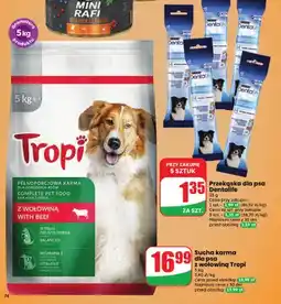 Dino Sucha karma dla psa z wołowiną Tropi oferta