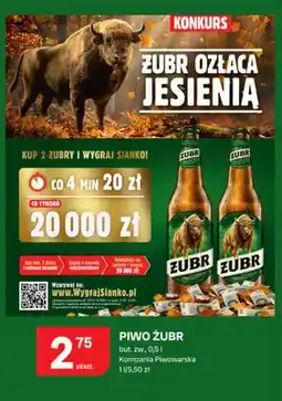 Chorten Piwo Żubr oferta