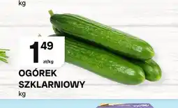 Chorten Ogórki szklarniowe oferta