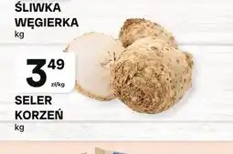 Chorten Seler korzeń oferta