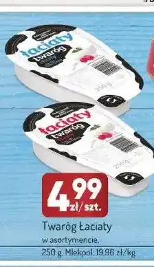 Avita Twaróg Łaciaty oferta