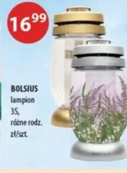 Drogerie Laboo Bolsius lampion oferta