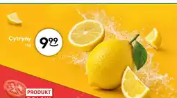 Żabka Cytryny oferta