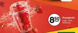 Żabka Pomidorki oferta