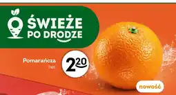 Żabka Pomarańcza oferta