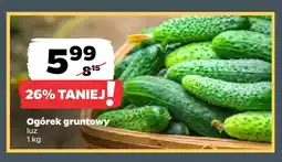 Netto Ogórki gruntowe oferta