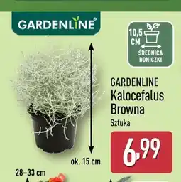 ALDI Kalocefalus Browna Gardenline oferta
