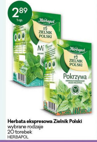 Groszek Herbata ekspresowa Zielnik Polski 20 torebek oferta
