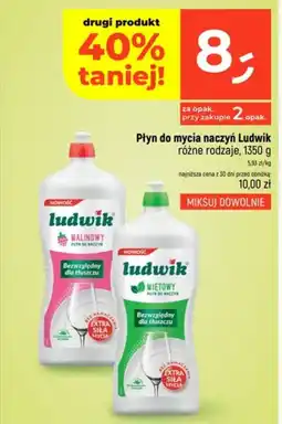 Dealz Płyn do mycia naczyń Ludwik oferta