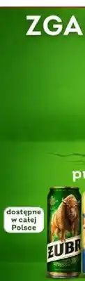 Żabka Piwo Żubr oferta