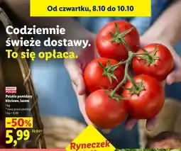 Lidl Polskie pomidory kiściowe luzem oferta