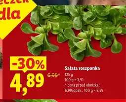 Lidl Sałata roszponka oferta