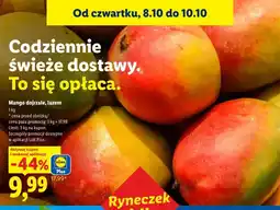 Lidl Mango dojrzałe Ryneczek Lidla oferta