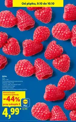 Lidl Maliny oferta