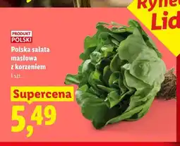 Lidl Polska sałata masłowa z korzeniem oferta