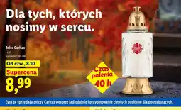Lidl Znicz Caritas 30 cm oferta