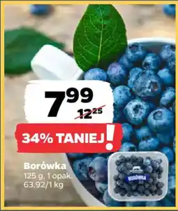 Netto Borówka oferta