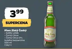 Netto Piwo Zlatý Český oferta